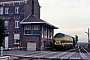 Cockerill 3756 - SNCB "5124"
24.08.1987 - De Panne-Adinkerke
Alexander Leroy