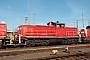 Deutz 58354 - DB Cargo "294 684-6"
12.02.2022 - Halle (Saale), Betriebshof
Peter Wegner
