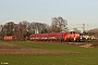 MaK 1000505 - DB Cargo "294 703-4"
18.12.2020 - Meerbusch-Ossum-Bösinghoven
Ingmar Weidig