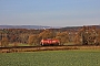 MaK 1000547 - DB Cargo "294 739-8"
25.11.2016 - Guntershausen
Christian Klotz