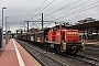 MaK 1000569 - DB Cargo "294 771-1"
19.11.2018 - Kassel-Wilhelmshöhe
Christian Klotz