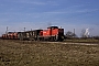 MaK 1000583 - DB Cargo "294 283-7"
24.02.2001 - WaghäuselWerner Brutzer