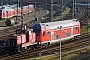 MaK 600462 - DB Cargo "363 147-0"
22.02.2019 - Kiel
Tomke Scheel