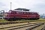 NOHAB 2242 - DSB Museumstog "MY 1101"
21.08.2010 - Odense, DSB Jernbanemuseum 
Jens Vollertsen