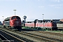 NOHAB 2323 - DSB "MV 1109"
31.08.1981 - Padborg
Ulrich Budde NOHAB 2323 - DSB "MV 1109"
31.08.1981 - Padborg
Ulrich Budde