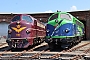 NOHAB 2606 - Altmark-Rail "1155"
01.06.2024 - WittenbergeThomas Wohlfarth