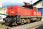 SGP 80145 - ÖBB "1063 045-7"
08.09.2018 - Innsbruck
Kurt Sattig