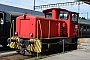 SLM 4984 - SOB "Tm 236 007-1"
03.08.2017 - St Gallen-Haggen
Harald Belz