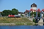 MaK 1000417 - DB Cargo "296 044-1"
23.06.2020 - Mannheim, Diffené-Brücke
Harald Belz