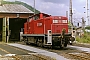 MaK 1000655 - Railion "294 380-1"
01.06.2001 - Wuppertal, Betriebshof
George Walker