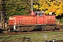 MaK 1000723 - DB Cargo "294 908-9"
24.10.2021 - AugsburgThomas Wohlfarth