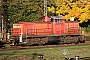 MaK 1000723 - DB Cargo "294 908-9"
24.10.2021 - Augsburg
Thomas Wohlfarth