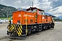 MaK 400029 - RhB "241"
31.05.2023 - Untervaz-Trimmis
Gunther Lange