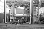 MaK 600127 - RVM "25"
16.01.1981 - Lippstadt, Hauptwerkstatt der WLE
Christoph Beyer