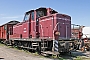 MaK 600252 - Pfalzbahn "V 60 663"
31.05.2025 - Darmstadt-KranichsteinLeonhard  Groß